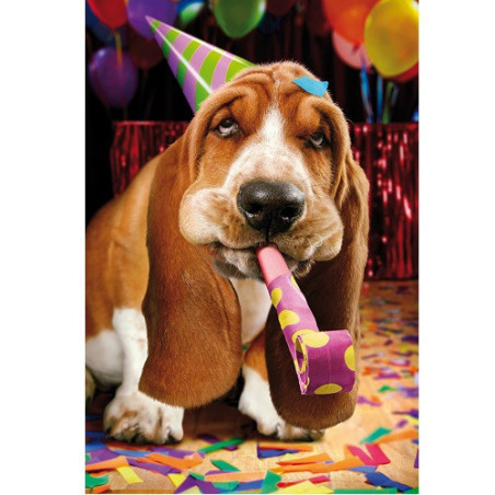 CARTE VOEUX BSB HAPPY BIRTHDAY