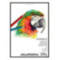 BLOC DESSIN BLANC 210X297MM A4 200G 20FLS AURORA STEINBACH