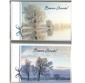 MIGNONNETTE BONNE ANNEE FRANCAIS POCH.10PCS