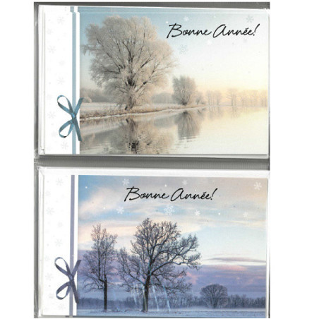 MIGNONNETTE BONNE ANNEE FRANCAIS POCH.10PCS